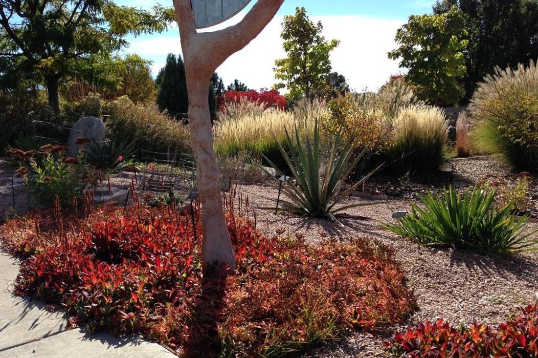 A water-wise ColoradoScape with gravel mulch, yucca, ornamental grasses, and red groundcover — from the Xeric Gardens site